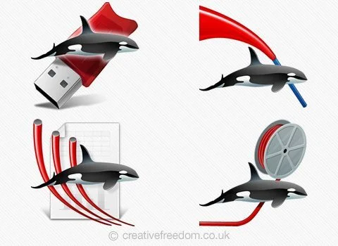 Windows Icon Design for Orcina