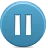 Pause Icon icon for desktop software, downloadable in 16, 24, 32, and 48 pixel sizes